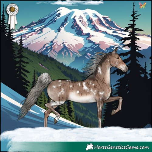 Horse Color:White Spotted Liver Red Dun Mushroom Rabicano Brindle