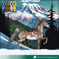 Horse Color:White Spotted Liver Red Dun Mushroom Rabicano Brindle 