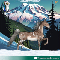 Horse Color:White Spotted Liver Red Dun Mushroom Rabicano Brindle 
