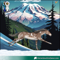 Horse Color:White Spotted Liver Red Dun Mushroom Rabicano Brindle 