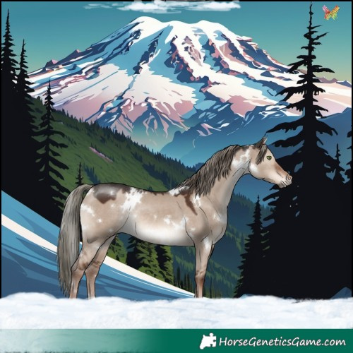 Horse Color:White Spotted Liver Red Dun Mushroom Rabicano 