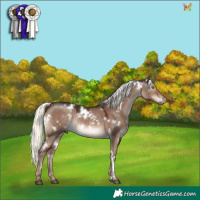 Horse Color:White Spotted Liver Red Dun Mushroom Rabicano 