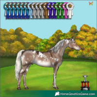 Horse Color:White Spotted Liver Red Dun Mushroom Rabicano 