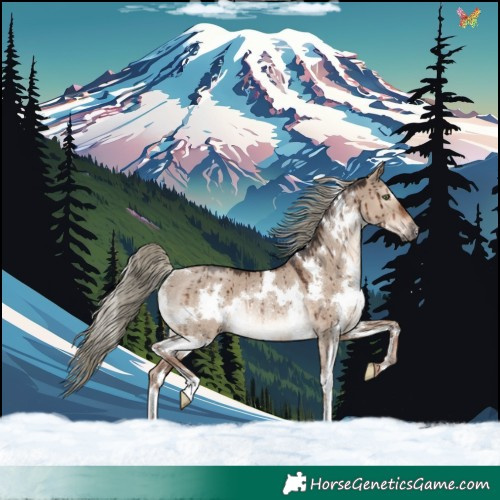 Horse Color:White Spotted Liver Red Dun Mushroom Rabicano Brindle 