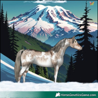 Horse Color:White Spotted Liver Red Dun Mushroom Rabicano Brindle 