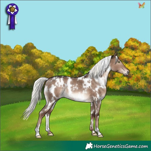 Horse Color:White Spotted Liver Red Dun Mushroom Rabicano 