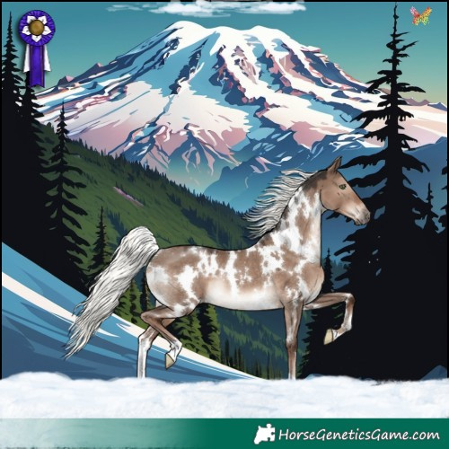 Horse Color:White Spotted Liver Red Dun Mushroom Rabicano 
