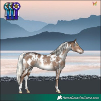 Horse Color:White Spotted Liver Red Dun Mushroom Rabicano 