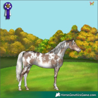 Horse Color:White Spotted Liver Red Dun Mushroom Rabicano 