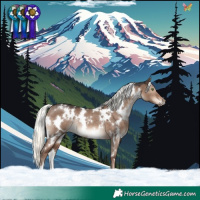 Horse Color:White Spotted Liver Red Dun Mushroom Rabicano