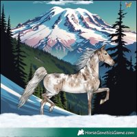 Horse Color:White Spotted Liver Red Dun Mushroom Rabicano Brindle 
