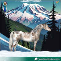 Horse Color:White Spotted Liver Red Dun Mushroom Rabicano Brindle 