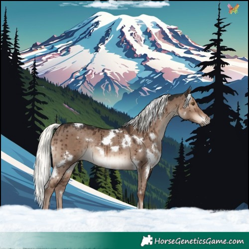 Horse Color:White Spotted Liver Red Dun Mushroom Rabicano Brindle 