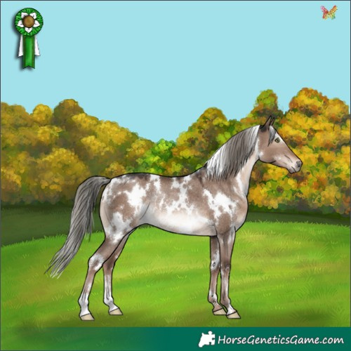 Horse Color:White Spotted Liver Red Dun Mushroom Rabicano