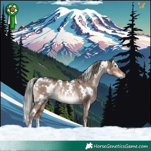 Horse Color:White Spotted Liver Red Dun Mushroom Rabicano 