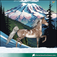 Horse Color:White Spotted Liver Red Dun Mushroom Rabicano Brindle