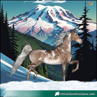 Horse Color:White Spotted Liver Red Dun Mushroom Rabicano Brindle 