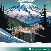 Horse Color:White Spotted Liver Red Dun Mushroom Rabicano Brindle 