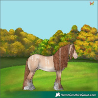 Horse Color:Powder White Gold Champagne Dun 