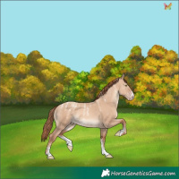 Horse Color:Powder White Gold Champagne Dun