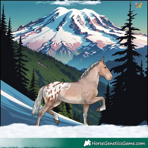Horse Color:Powder White Silver Bay Blanket Rabicano 