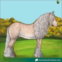 Horse Color:Silver Sable Champagne Sabino  and Silver Sable Champagne Dun Tobiano 