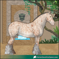 Horse Color:Silver Sable Champagne Sabino  and Silver Sable Champagne Dun Tobiano 