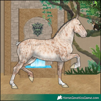 Horse Color:Silver Sable Champagne Sabino  and Silver Sable Champagne Dun Tobiano 