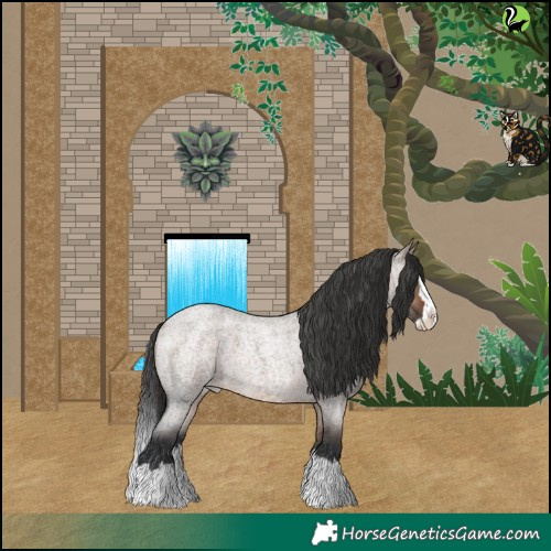 Horse Color:Bay Roan Dun Splash Appaloosa 