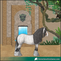 Horse Color:Bay Roan Dun Splash Appaloosa 