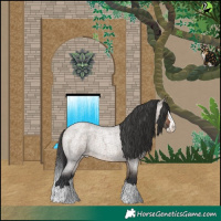 Horse Color:Bay Roan Dun Splash Appaloosa 