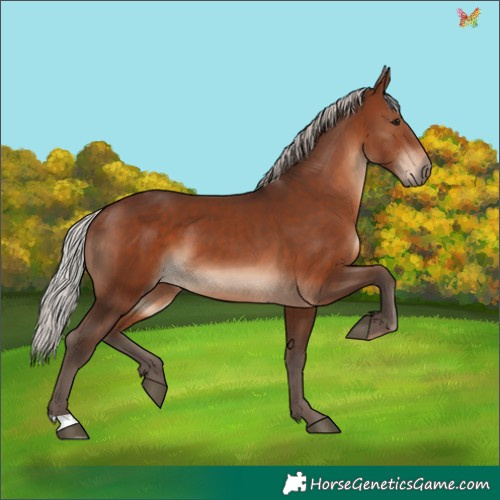 Horse Color:Silver Brown