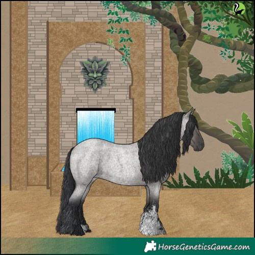 Horse Color:Grullo Roan Sabino Rabicano