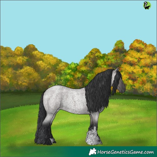 Horse Color:Grullo Roan Sabino Rabicano 