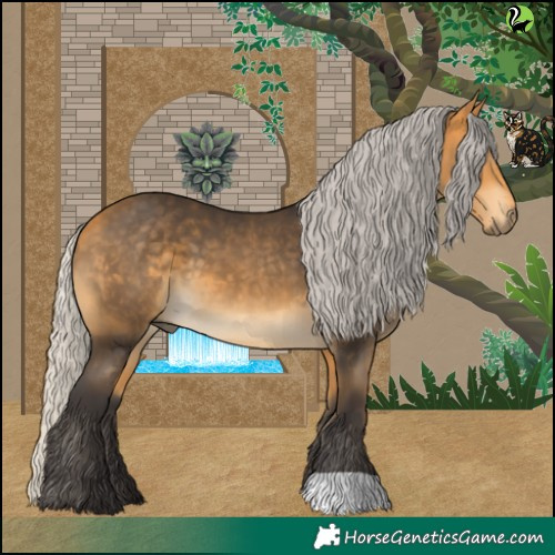 Horse Color:Silver Buckskin 