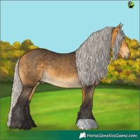 Horse Color:Silver Buckskin 