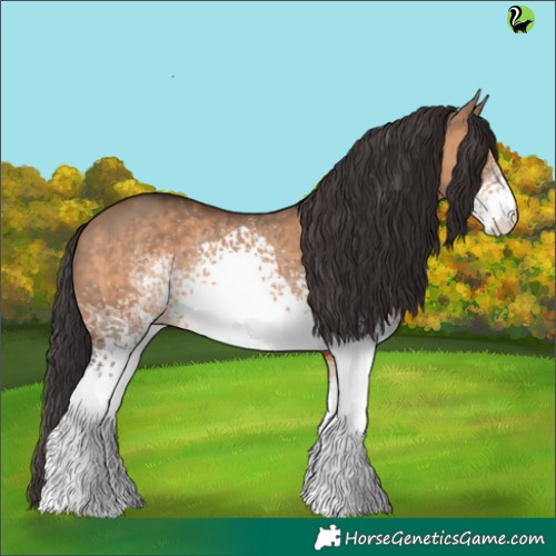Horse Color:White Spotted Brown Dun 