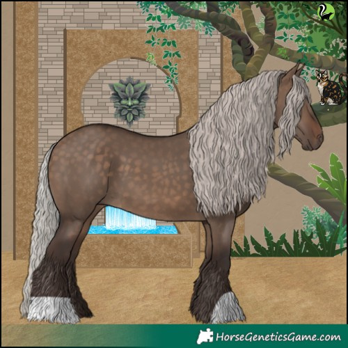 Horse Color:Silver Brown Dun 