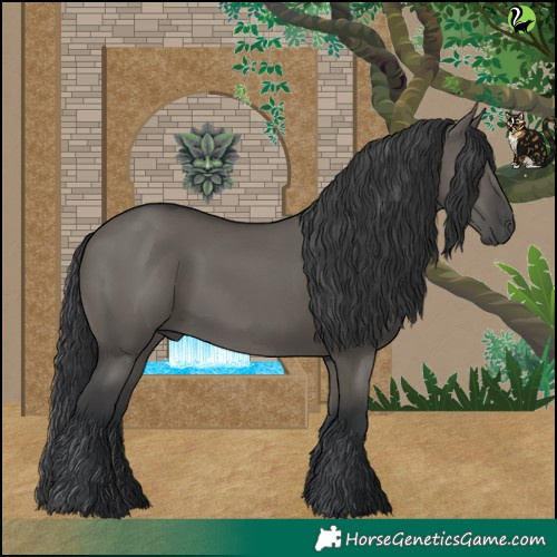 Horse Color:Grullo 