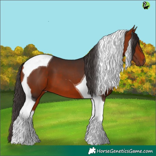 Horse Color:Bay Tobiano