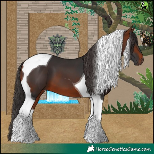 Horse Color:Bay Tobiano 