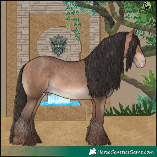 Horse Color:Sable Champagne 