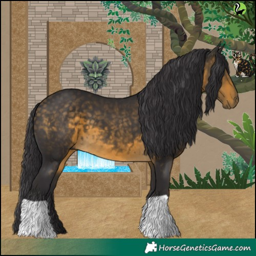 Horse Color:Buckskin 