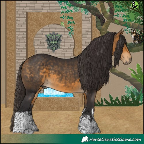 Horse Color:Buckskin Sabino Tobiano 