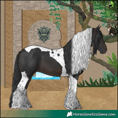 Horse Color:Brown Tobiano 