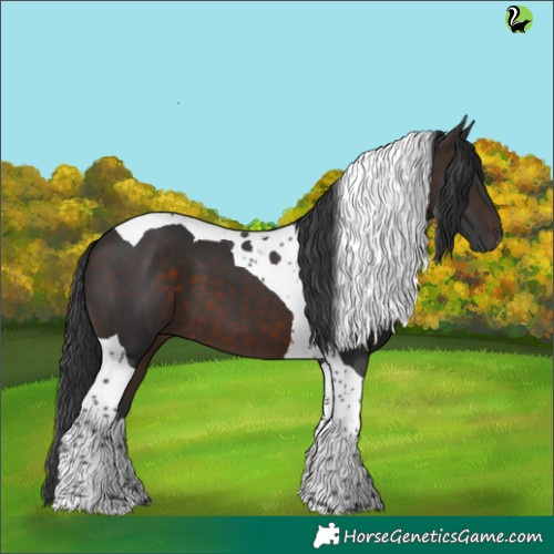 Horse Color:Brown Tobiano 