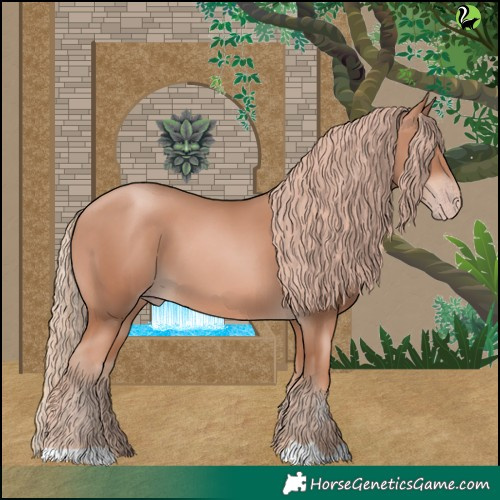Horse Color:Gold Champagne 