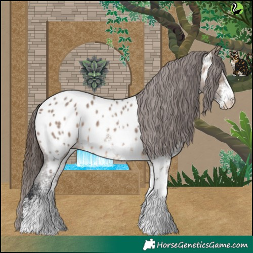 Horse Color:White Spotted Brown Dun Near Leopard 