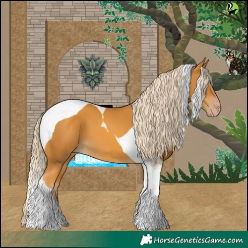 Horse Color:Gold Cream Champagne Tobiano 