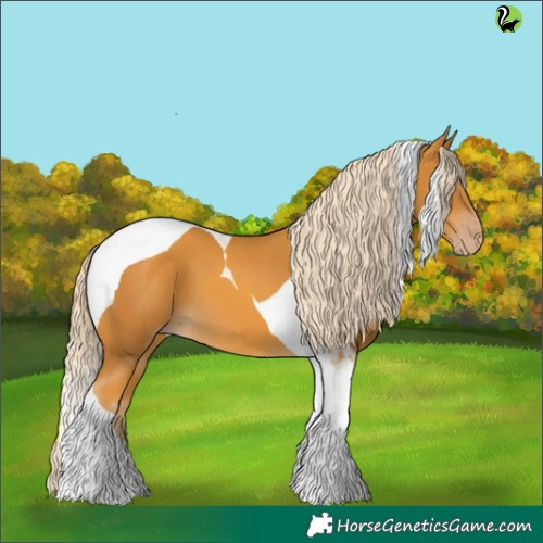 Horse Color:Gold Cream Champagne Tobiano 